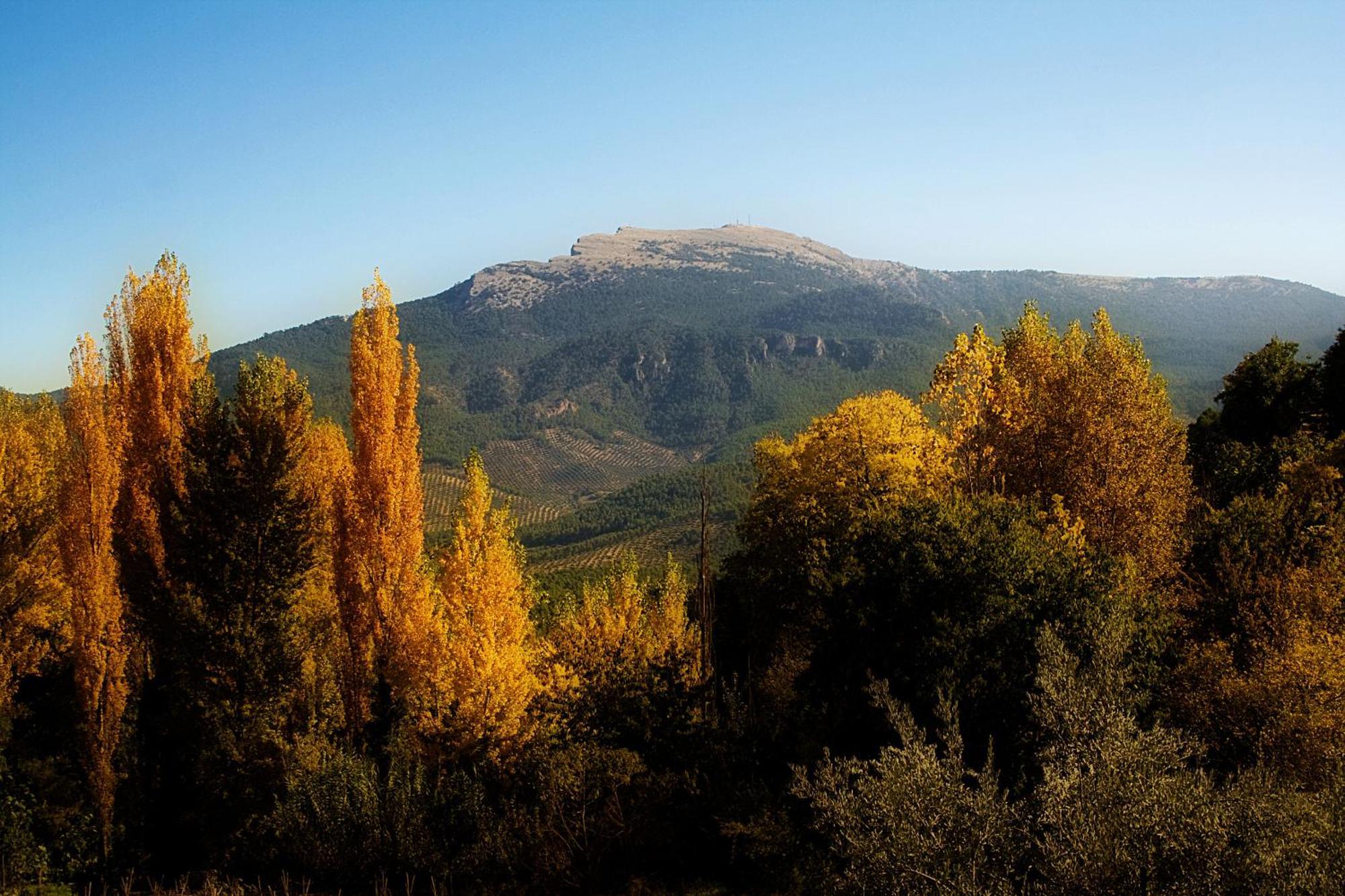 Los Huertos De Segura Segura de la Sierra Eksteriør bilde